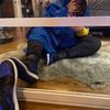 vsqz_3